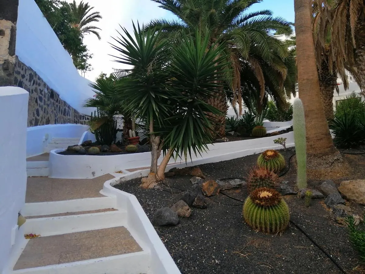 Apartamento Te Miti Puerto del Carmen   Puerto del Carmen (Lanzarote)